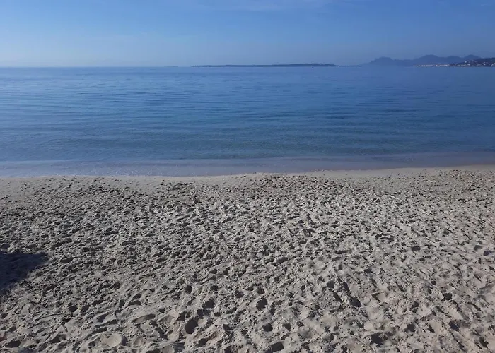 Le Palais Du Tropique Vue 5é étage Avec Ascenseur Juan-les-Pins