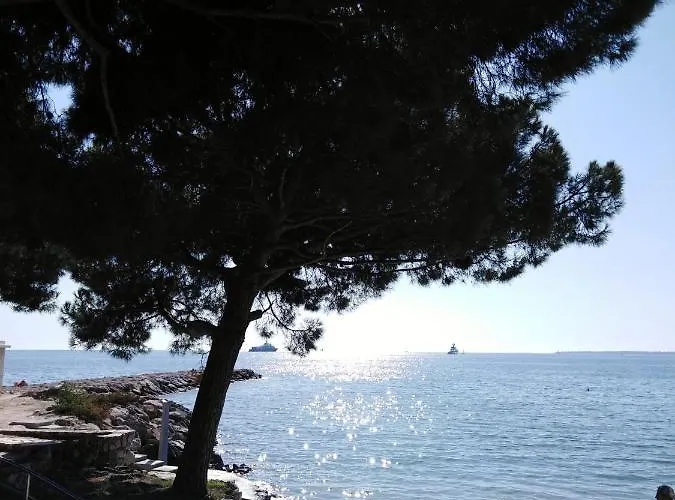 דירה Le Palais Du Tropique Vue 5e Etage Avec Ascenseur *